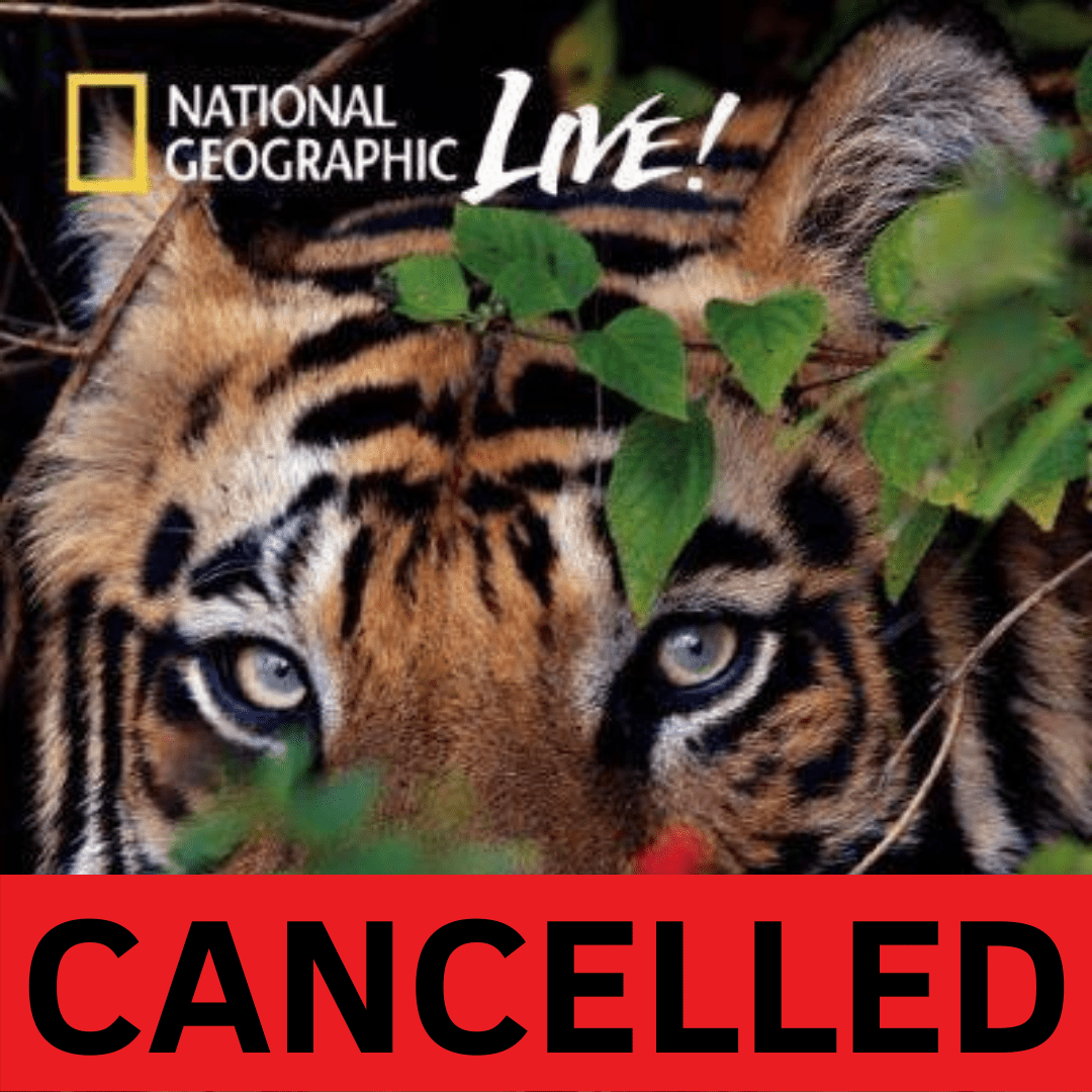 Artown's National Geographic Live Steve Winter On the Trail of Big Cats